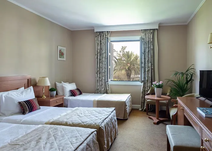 Amalia 纳夫普利翁