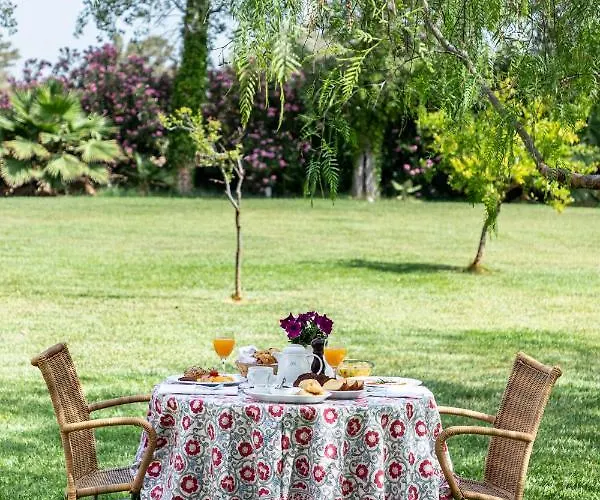 Amalia 4* 纳夫普利翁