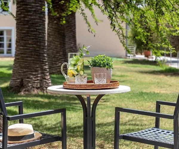 Amalia 纳夫普利翁